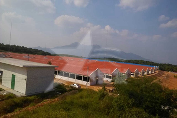 衢州建材市場什么樣的樹脂瓦質(zhì)量好